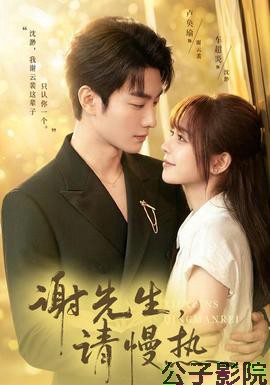 谢先生，请慢热女频恋爱在线观看